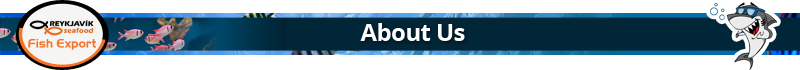 About Us.jpg