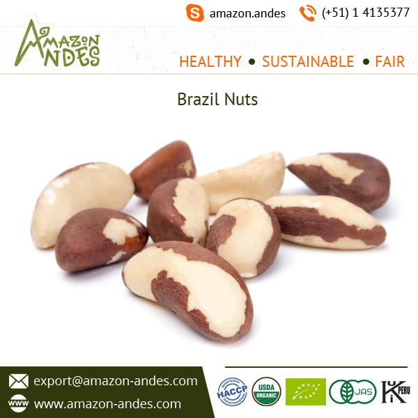 Brazil Nuts 4.jpg