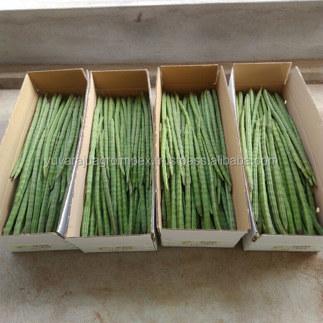 Fresh Indian Vegetables Exporter From India Buy Fresh Vegetable Importer For London,Fresh