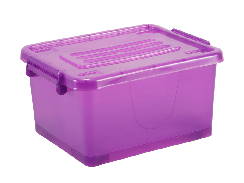 purple box.png