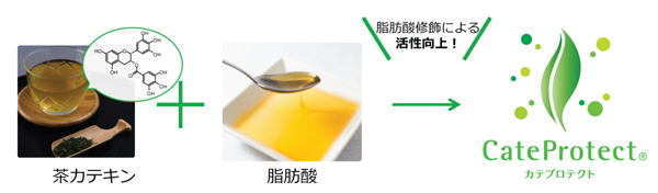 greentea-4.jpg