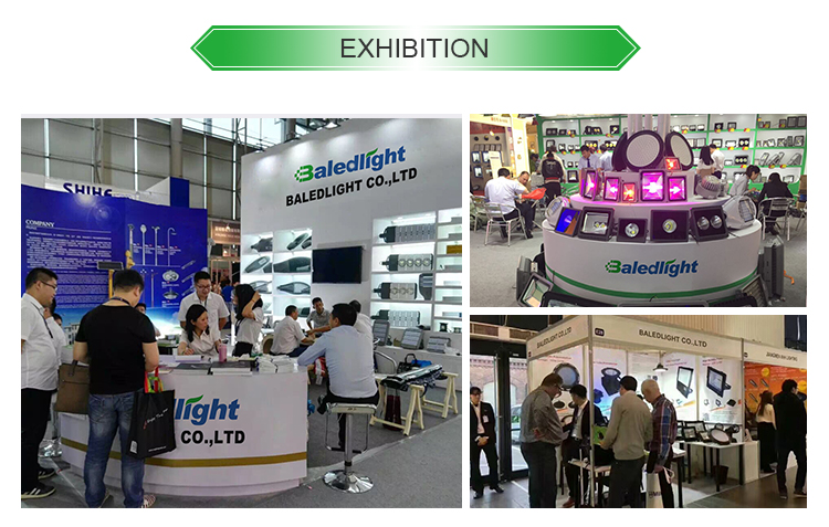 Baledlight company for outdoor lighting led (4).jpg