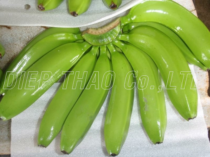 banana-cavendish-10.jpg