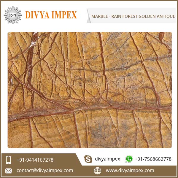 divya-impex_indian-marble_rain-forest-golden-antique.jpg