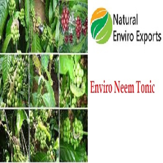 Neem Tonic 10