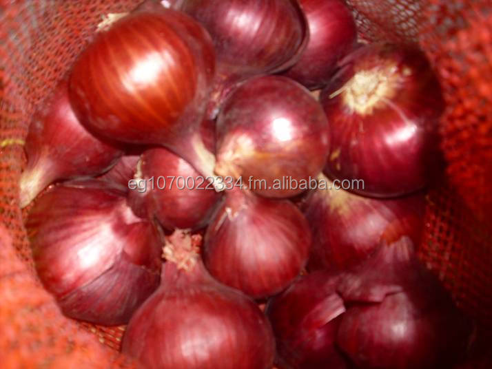 Onion Price For Sri Lanka Buy Red Onions,Onions In Bulk,Yellow Onion