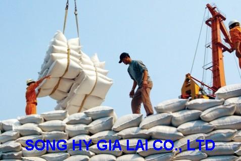 Rice_export_030514.jpg