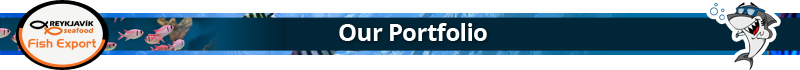 Our Portfolio.jpg